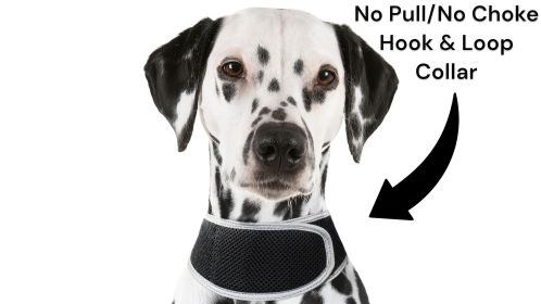 NEW Comfortable Dog Locator Device Mini Collar Mount Tracker for Pets Size:XL