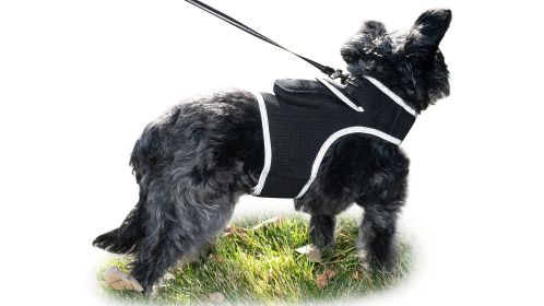 Wireless Live Pet Tracking with Pet Tracker Portable Cat Dog GPS Tracker Size:S