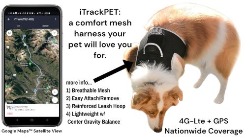 Track Pet Through Phone with Pet Tracker Collar GPS Tracking for Dog + App Size:XS