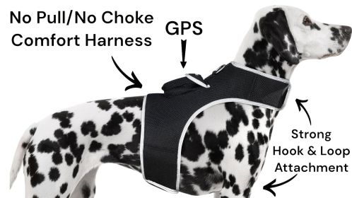 Water Resistant Small Pet GPS Collar Tracker Rechargeable Locator for Big Dogs Size:XXL